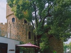 -J Create城市露营咖啡·简餐·宠物(上海动物园店)