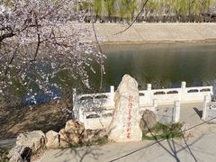 -桃花堤公园
