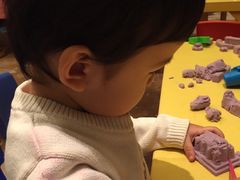 -廊坊固安福朋喜来登酒店