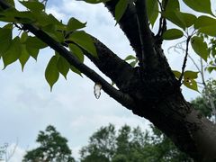 -白塘生态植物园