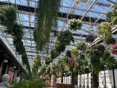 -常州花鸟园酒店(西太湖品牌优选店)