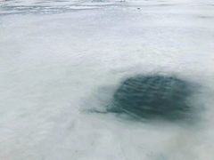 -青海茶卡盐湖文化旅游发展股份有限公司