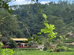 -武夷山风景名胜区-玉女峰