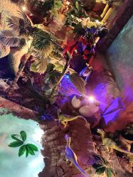 -恐龙探索乐园(磁器口店)