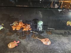 -同济大学四平路校区深海探索馆