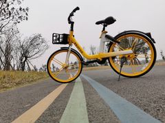 -三圣花乡旅游区