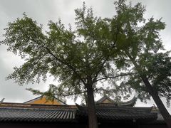 -西林禅寺