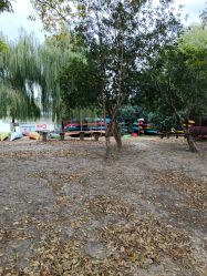 -剑鱼皮划艇俱乐部(石湖基地)