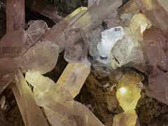 -湖南省地质博物馆