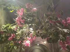 -观唐足道SPA养生会馆(南湖店)