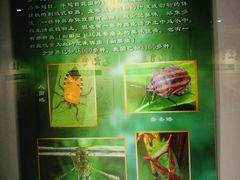 -上海昆虫博物馆
