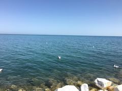 -青海湖国家重点风景名胜区