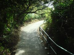 -南丫岛