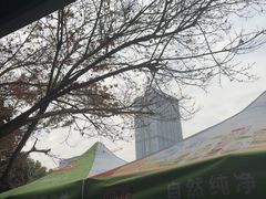 -久宴·天目湖大鱼头(恐龙园店)