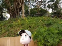 -九龙公园