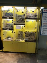 -神奇动物撸宠馆·羊驼·小浣熊·异宠(豫园店)
