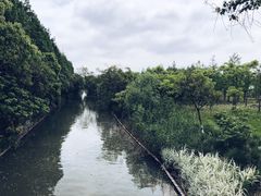 -上海长兴岛郊野公园