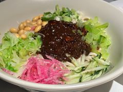 -大鸭梨烤鸭(望京店)
