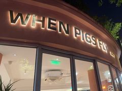 -WHEN PIGS FLY当猪飞