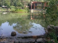 -仙居谷风景区