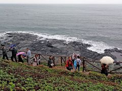 -漳州滨海火山岛自然生态风景区