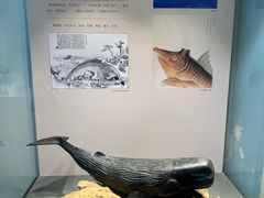 -大连自然博物馆