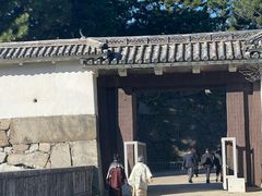 -名古屋城