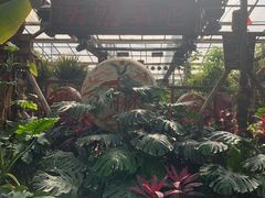 -呀路古热带植物园