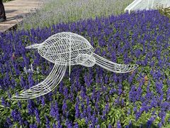 -龙环葡韵住宅式博物馆