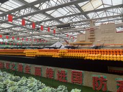 -兰陵国家农业公园