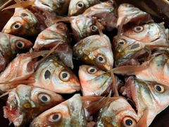 -章记正宗南岗鱼蛋火锅