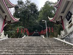 -成都老君山
