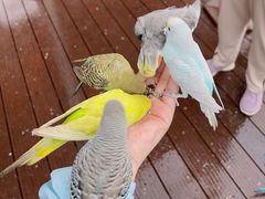 -燕塞湖鸟语林景区