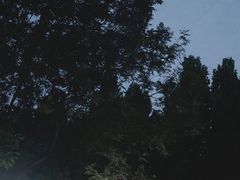 -Supine Bistro溯泮餐厅