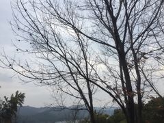 -天目湖涵田半山温泉
