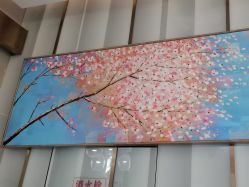 -More摩尔医美の注射线雕光电中心