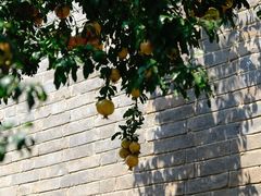 -洛阳周公庙博物馆