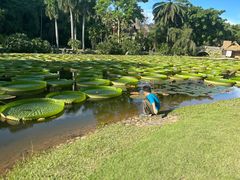 -中国科学院西双版纳热带植物园