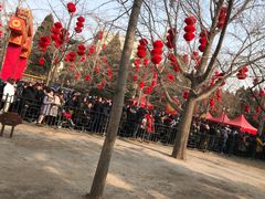 -肯德基(安定门店)