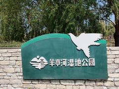 -羊亭河湿地公园