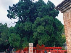 -四门塔风景区