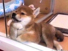 -晓庄学院-食堂