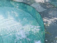 -碧桂园润杨溪谷温泉酒店