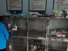 -乐宠动物医院