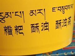 -老牟家牦牛酸奶