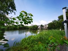 -新荣记(西溪湿地店)