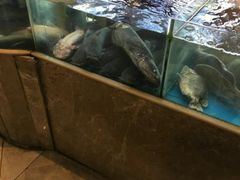 -鑫巴蜀(和平里店)