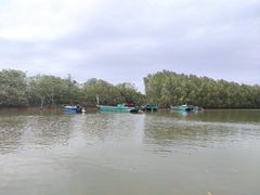 -东寨港红树林旅游区