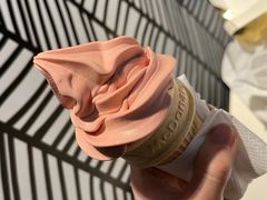 红豆双皮奶风味圆筒-麦当劳(山大路店)