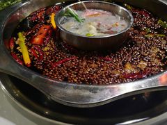 -枇杷园食为鲜火锅(南山店)